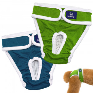 Couches et pantalons physiologiques pour chiens Vêtement chien couleur: Bleu|Vert