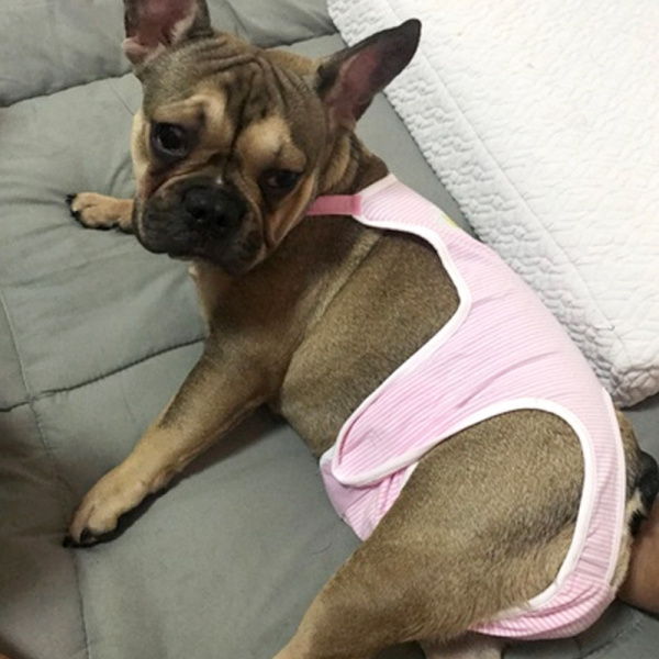 Culotte lavable en coton pour chien Vêtement chien couleur: Jaune|Rose