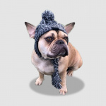 Bonnet pour chiens en tricot Vêtement chien couleur: Gris|Rose