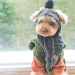 Chapeaux tricotés de luxe pour animaux de compagnie Vêtement chien couleur: Gris|Noir|Rouge