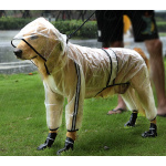 Imperméable transparent avec capuche pour chien Manteau pour chien Vêtement chien taille: 2XL|3XL|4XL|5XL|6XL|7XL|XS|S|M|L|XL