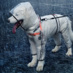 Imperméable transparent avec capuche pour chien Manteau pour chien Vêtement chien taille: 2XL|3XL|4XL|5XL|6XL|7XL|XS|S|M|L|XL