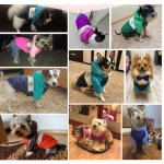 Manteau en coton épais pour animaux de compagnie Manteau pour chien Vêtement chien couleur: Bleu|Jaune|Marron|Orange|Rose