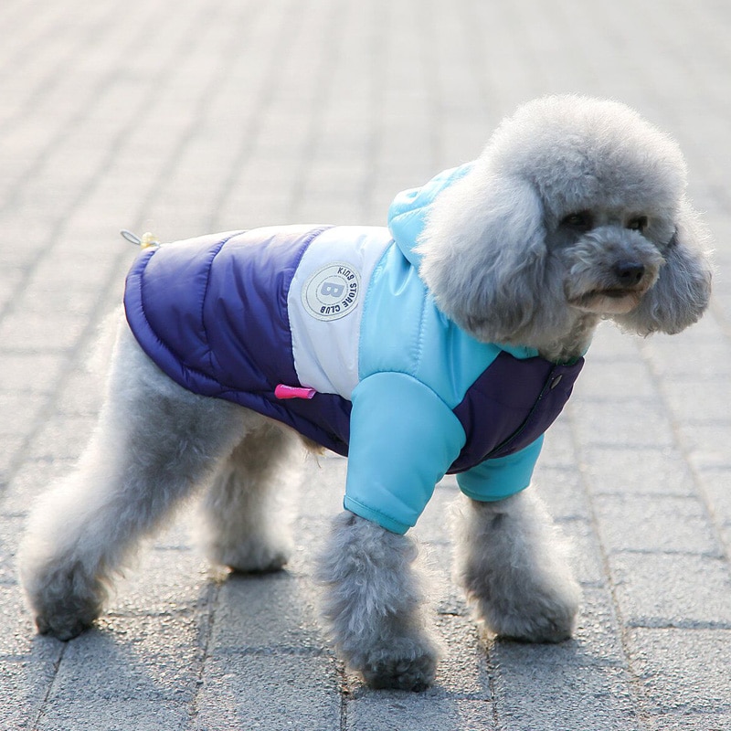 Manteau en coton épais pour animaux de compagnie Manteau pour chien Vêtement chien couleur: Bleu|Jaune|Marron|Orange|Rose