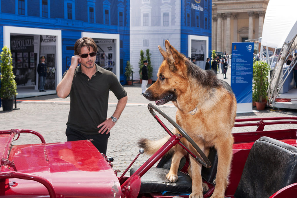 Un berger allemand marron et noir est debout sur le siège conducteur d'une jeep rouge en arrière plan il y a son maître l'acteur de la série policière.