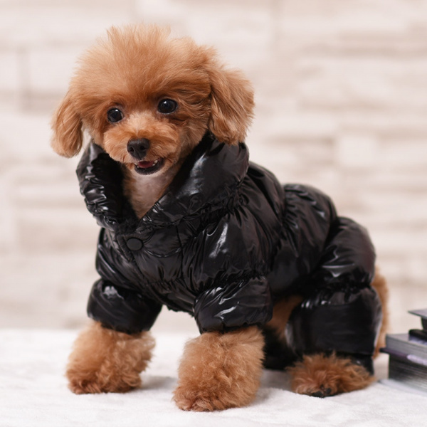 Vêtements chauds pour chiens Manteau pour chien Vêtement chien couleur: Blanc|Bleu|Jaune|Noir|Rouge