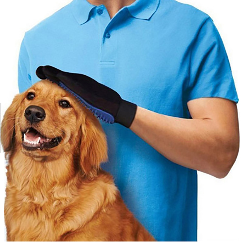Gant de toilettage et massage pour chien Hygiène chien Shampoing chien a7796c561c033735a2eb6c: Bleu|Rouge|Vert|Violet