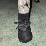 Chaussons gris élégants en coton pour chien Chaussure pour chien Vêtement chien couleur: Gris