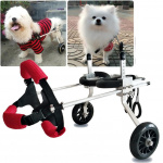 Fauteuil roulant léger pour chiens Chariot pour chien Transport chien Ventes privées taille: XS élargi|XS|M