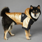 Veste imperméable pour chien avec inscription the dog fan Vêtement chien Pull pour chien taille: 4XL|5XL|S|M|L|XL|XXL|XXXL