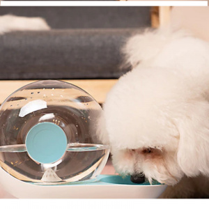 Bol d’eau automatique à bulles d’escargot pour chien Accessoire chien Gamelle chien couleur: Gris|Rose|Vert