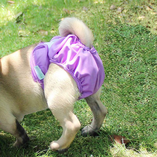 Culotte douce imprméable pour chiens Culotte Pour Chien Vêtement chien couleur: Gris|Noir|Violet