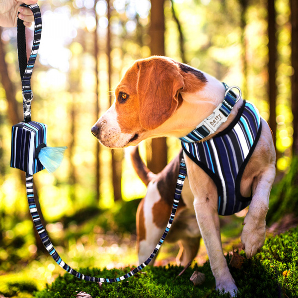 Ensemble 4 pièces harnais, gilet, laisse, petit sac pour chien Accessoire chien Harnais chien couleur: Bleu|Bleu Foncé|Multicolore|Noir|Vert|Vert