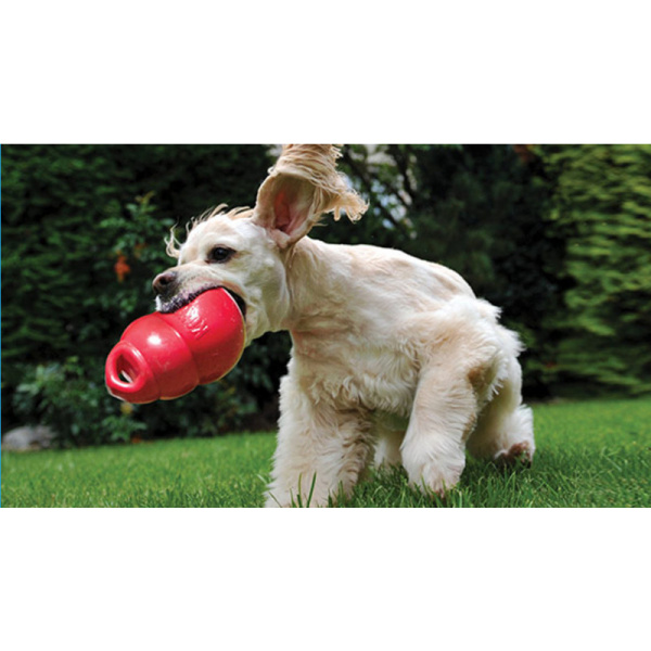 Jouets en caoutchouc naturel durable pour chien Accessoire chien Jouets pour chien couleur: Bleu|Noir|Rouge|Violet