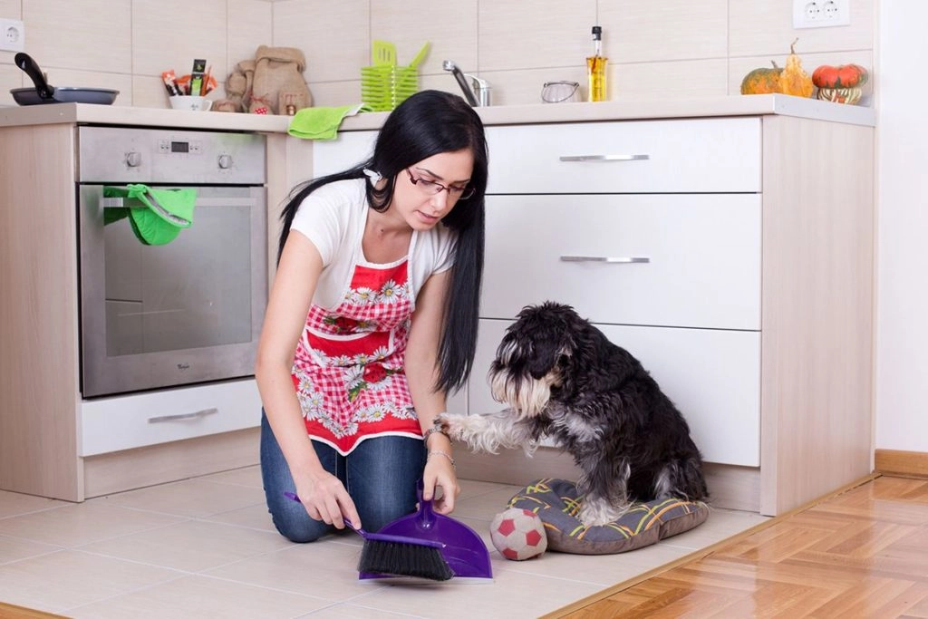 Une femme qui ramasse le caca de son chien par terre dans la maison