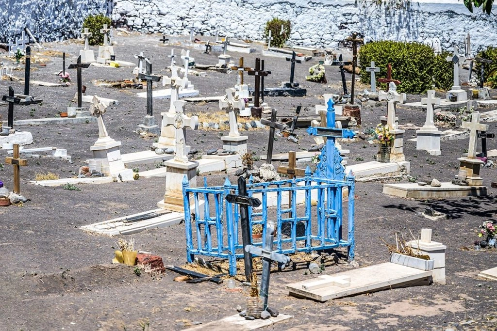 Un cimetière pour animaux, avec des tombes de chiens allignées les unes à coté des autres