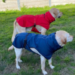 Manteau avec encolure en peluche pour chien Vêtement chien Manteau pour chien couleur: Bleu|Noir|Rouge