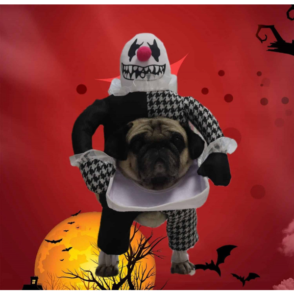 déguisement halloween chien clown tueur