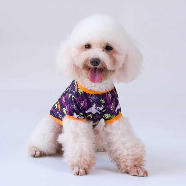 T-shit Halloween pour chien Déguisement pour chien Vêtement chien couleur: Noir|Orange|Violet